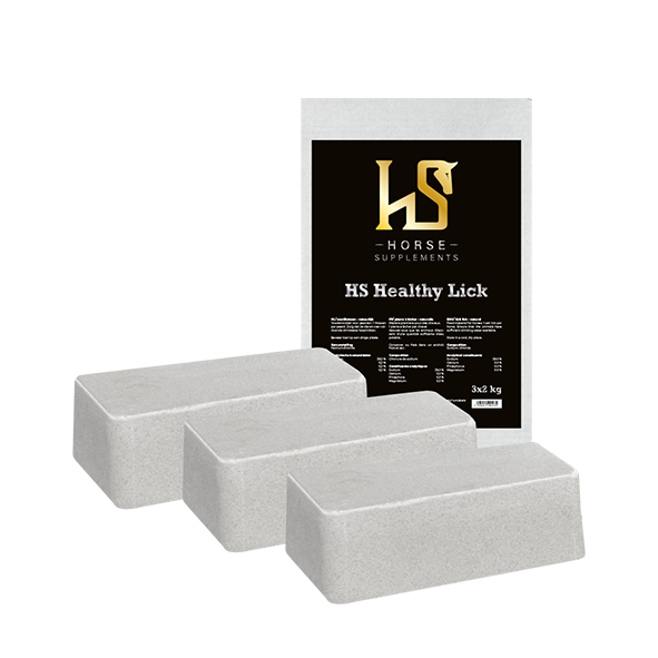 HS Healthy Lick sel à lécher 3x 2kg