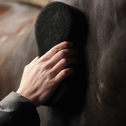 [1381180101000] Spons SHINE SCRUBBER